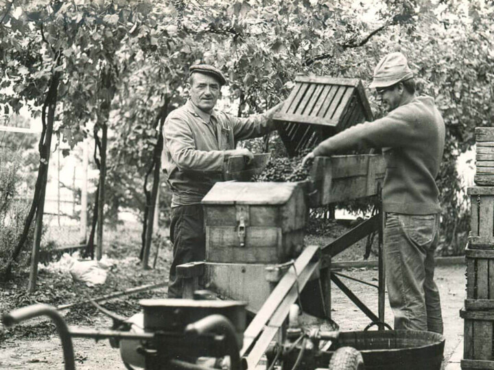 production de vinaigre balsamique de Modène depuis 1910-acetaia-marchi