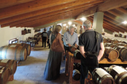 Dégustation-Vinaigre-Balsamique-Traditionnel-de-Modène-DOP-visite-en-acetaia