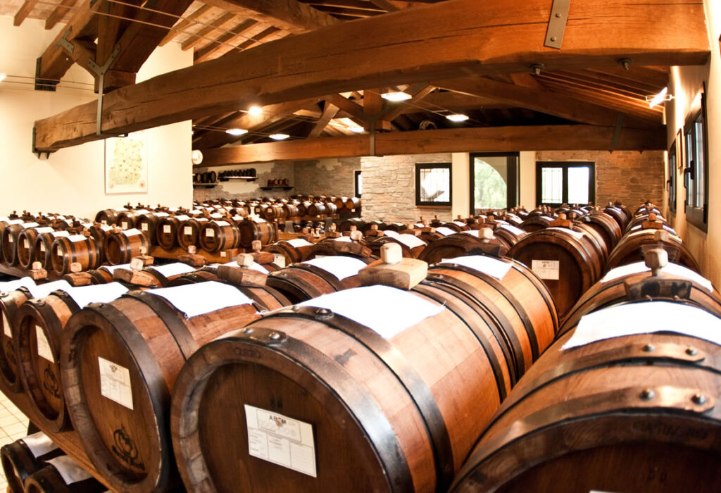 l'aceto balsamico di modena igp e il territorio nelle botti