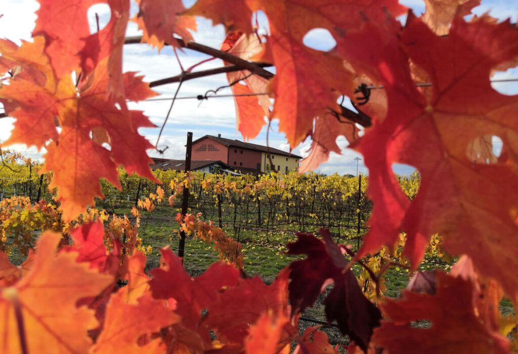 visita-guidata-in-acetaia