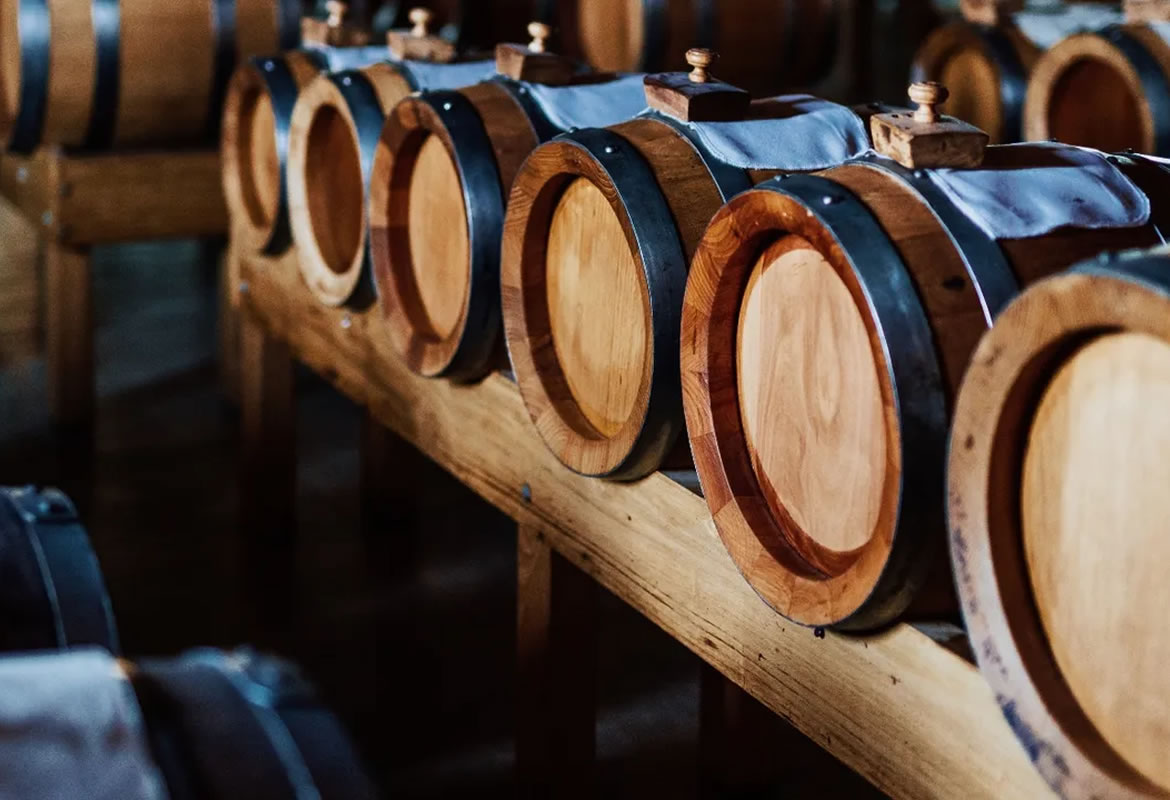 fermentation-production-balsamic-vinegar-modena