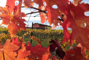 visita-guidata-in-acetaia